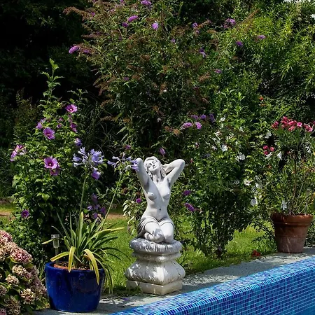 Sonnenschein Daire *